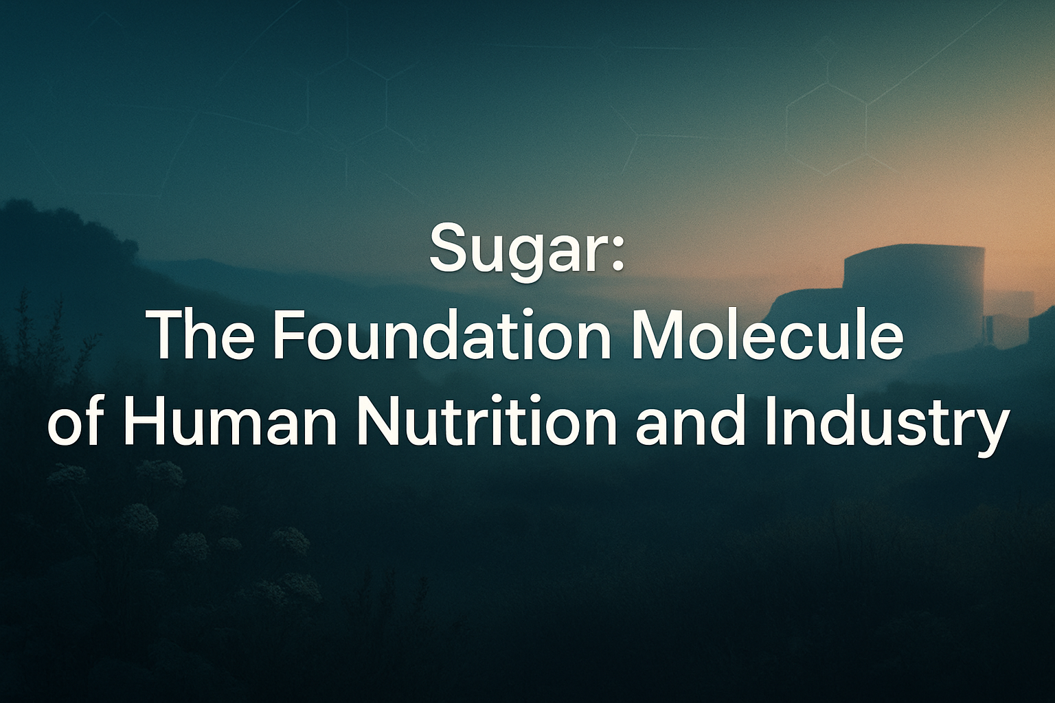 Sugar: The Foundation Molecule of Human Nutrition and Industry